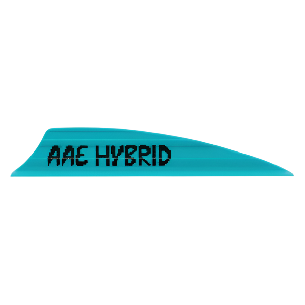 AAE - Hybrid 2.0