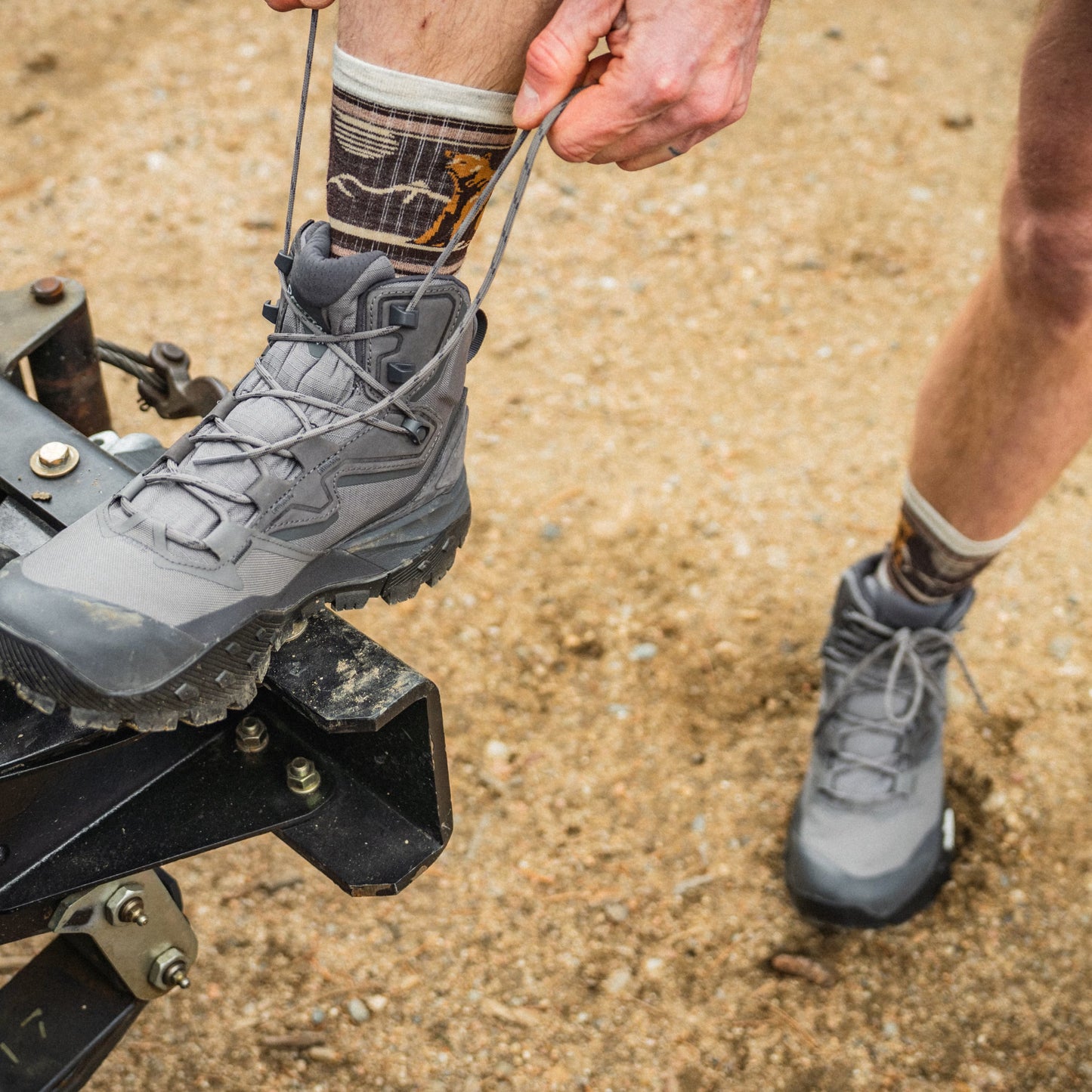 Smartwool - Hike Bear Stripe - Targeted Cushion