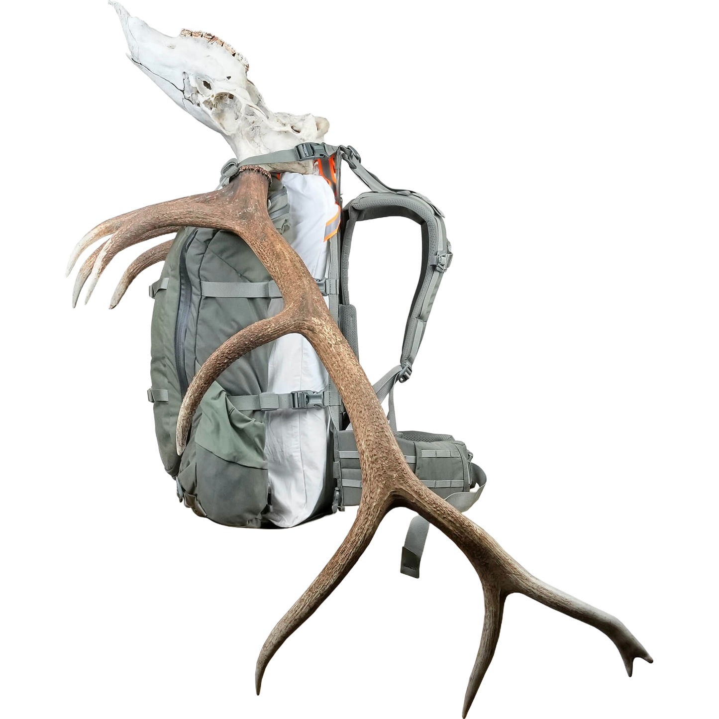 Mystery Ranch - Dents de scie