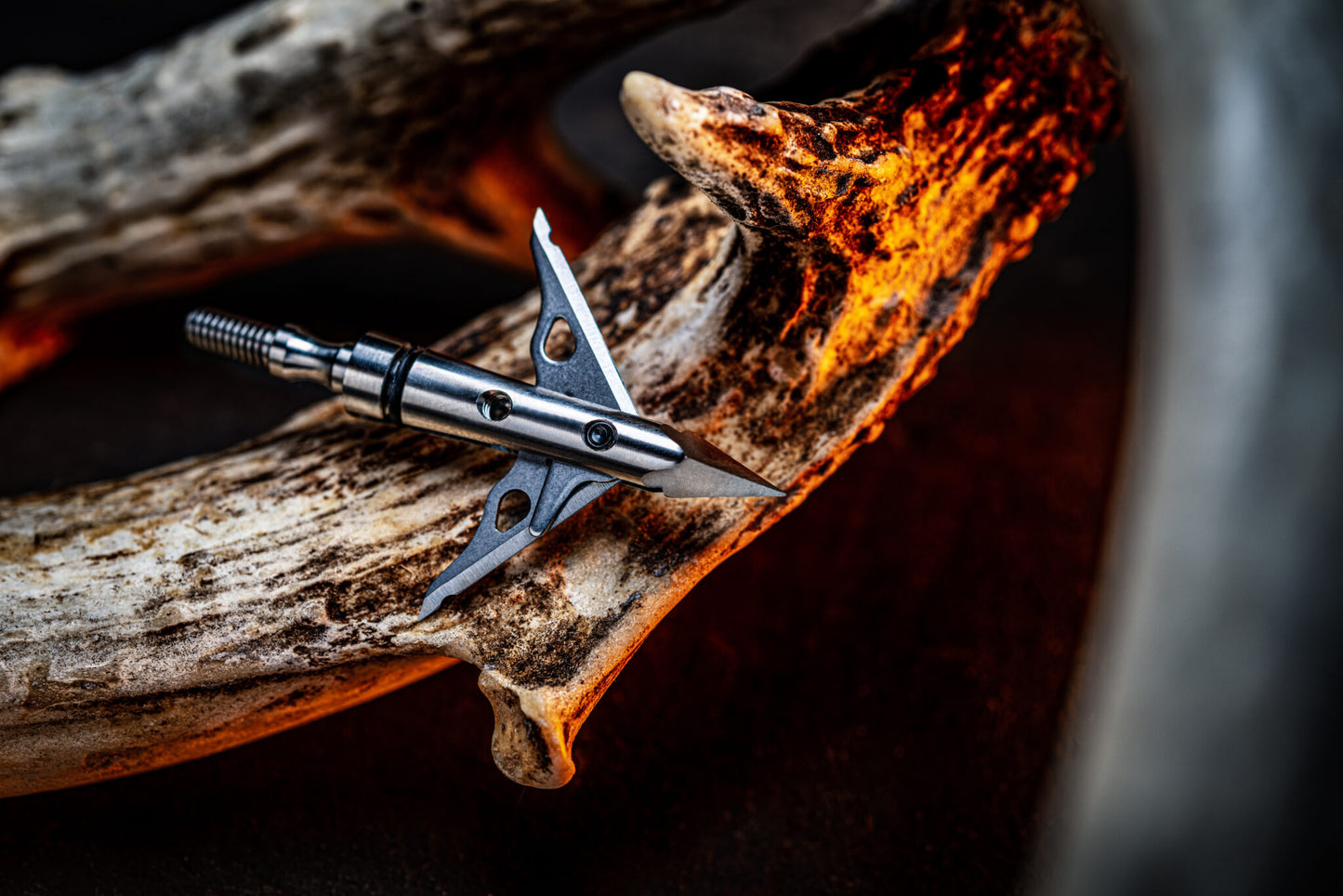 SEVR - Ti 1.5" 2 Blade Broadhead