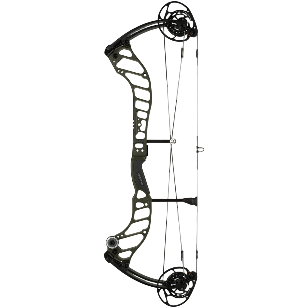 Bowtech - Ascend
