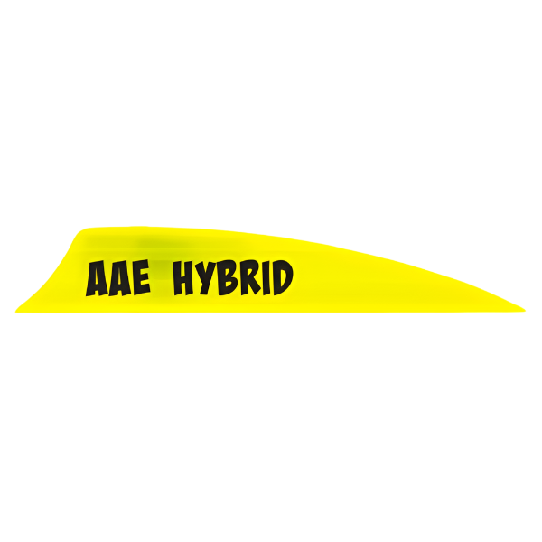 AAE - Hybrid 2.0