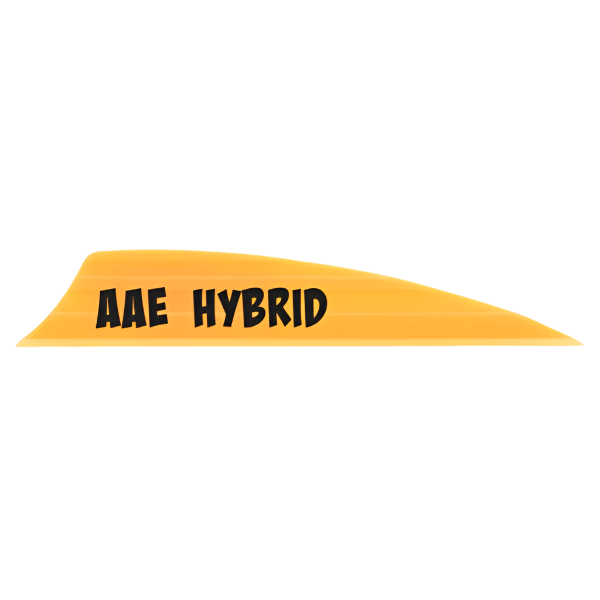 AAE - Hybrid 2.0