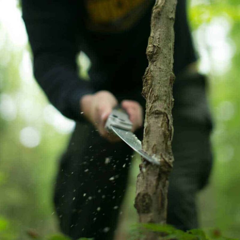 Wicked Tree Saws - Folding Hand Saw