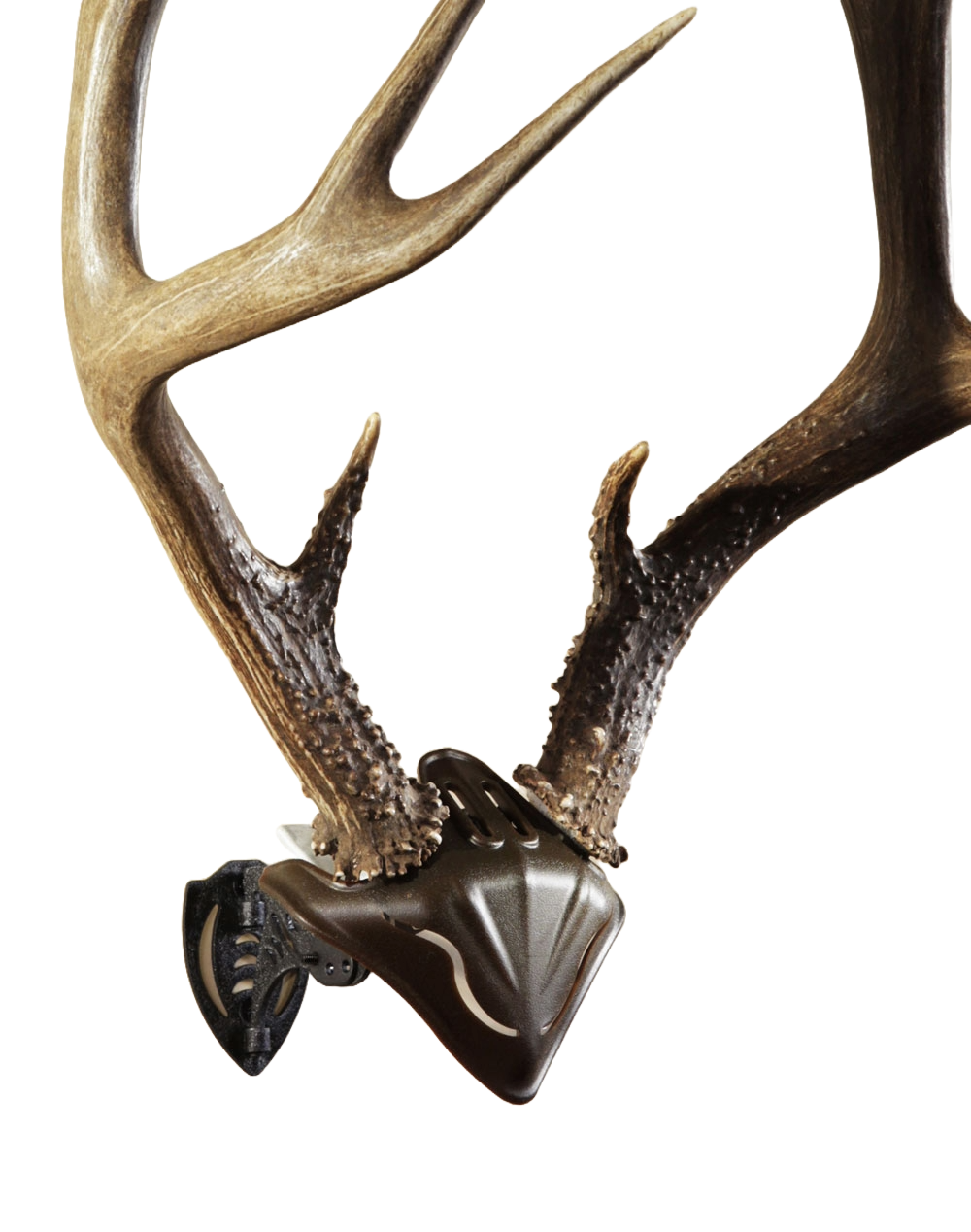 Skull Hooker - Skull Cap - Brown