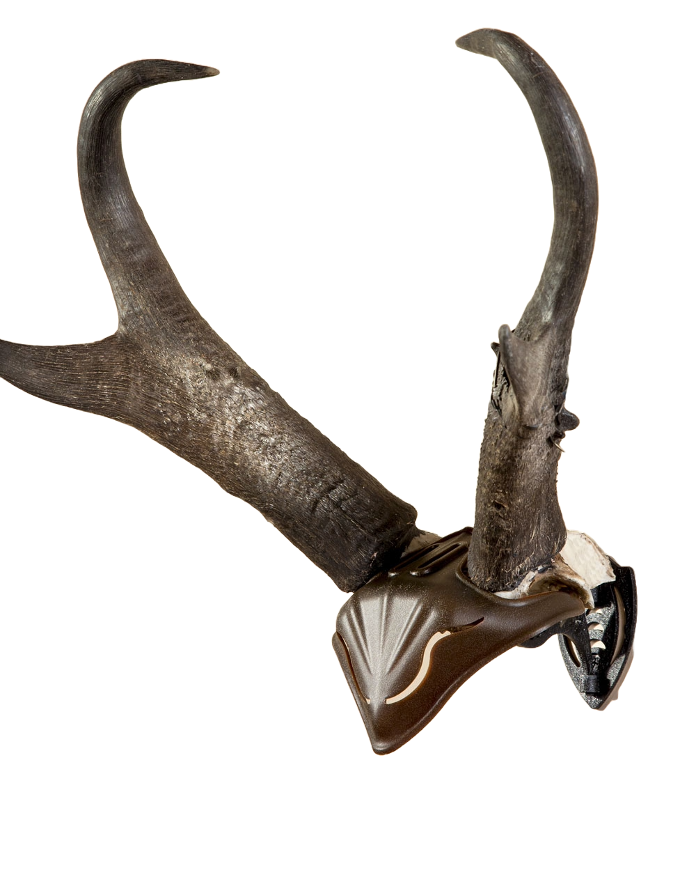 Skull Hooker - Skull Cap - Brown