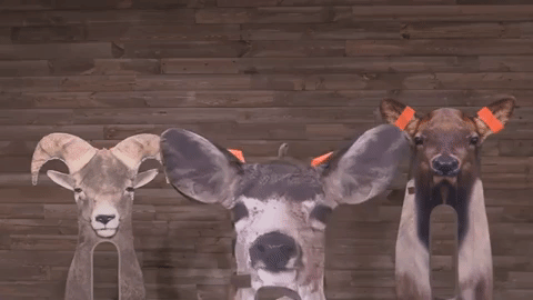Ultimate Predator Decoy - Antelope