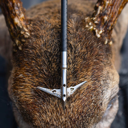 SEVR - Ti 2.0" 2 Blade Broadhead