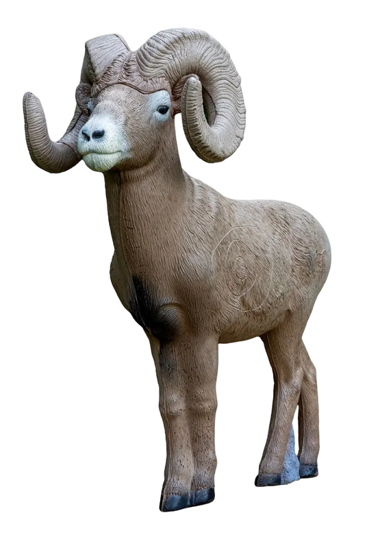 Rinehart - Signature 1/2 Scale Bighorn