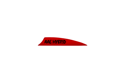 AAE - Hybrid 2.0