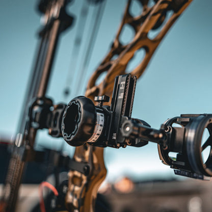 Black Gold - Modd Sight