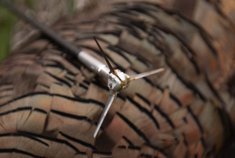 G5 Outdoors - Dirty Bird Broadhead