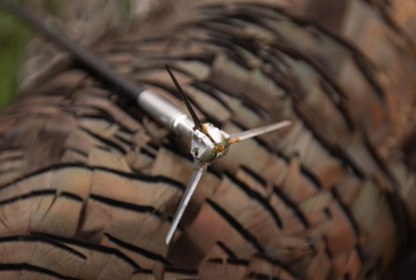 G5 Outdoors - Dirty Bird Broadhead
