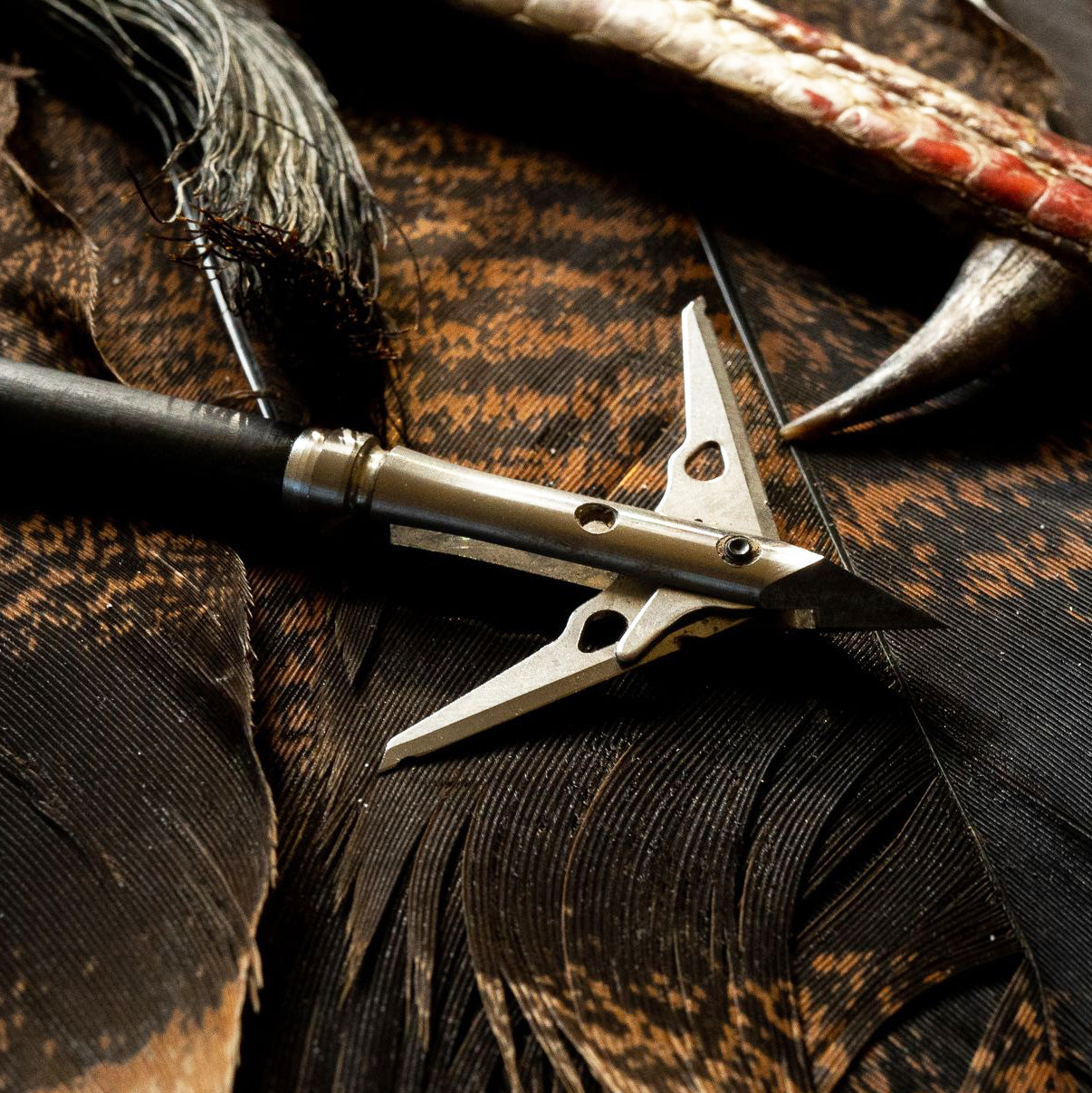 SEVR - Ti 2.0" 2 Blade Broadhead