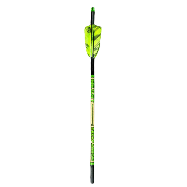 Beast Broadheads - Turkey Decapper Arrow