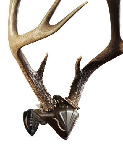 Skull Hooker - Skull Cap - Brown