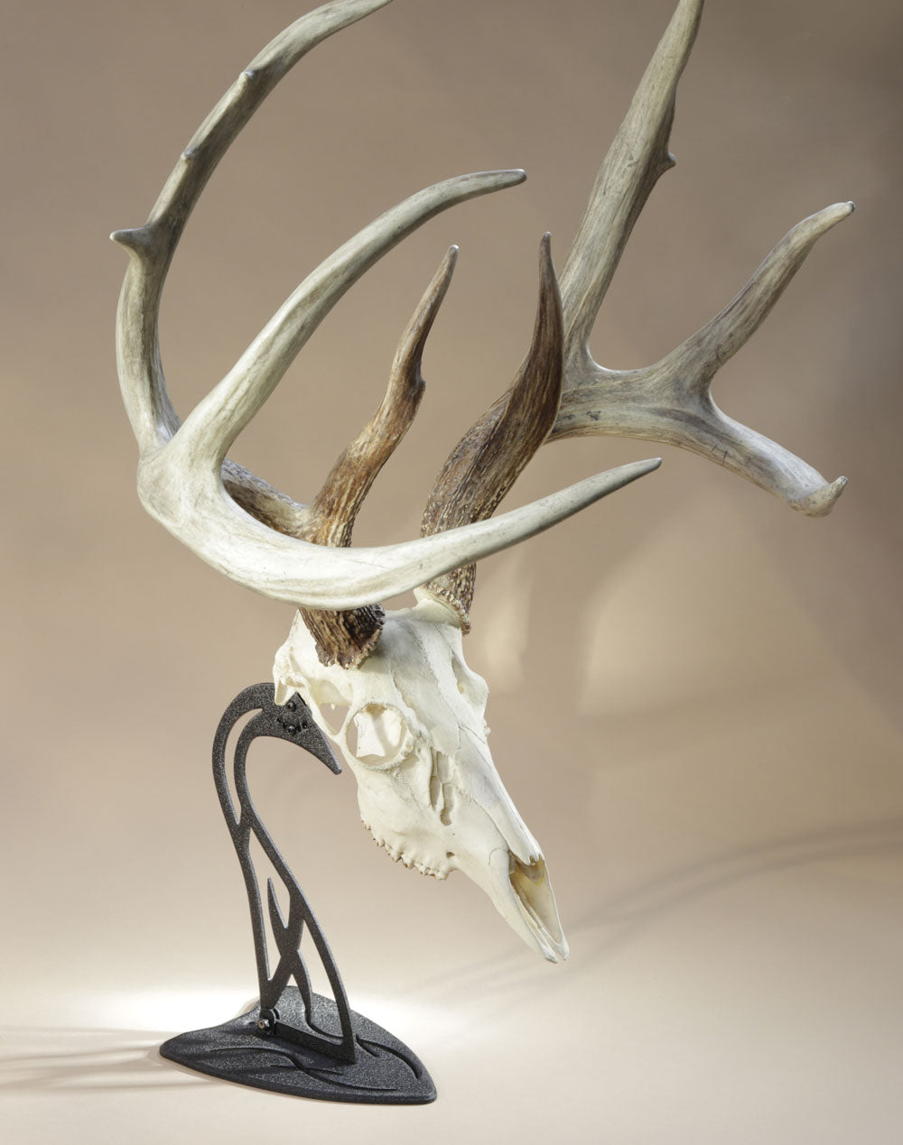 Skull Hooker - Table Hooker