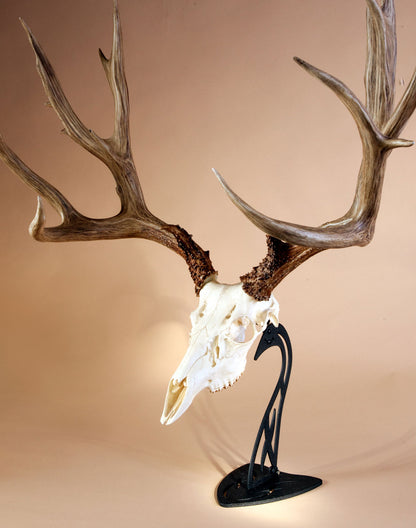 Skull Hooker - Table Hooker